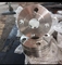 فلنجات فولاذية مزدوجة من الفولاذ المقاوم للصدأ لحام شفة UNS S31803