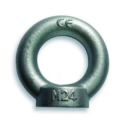 الفولاذ المقاوم للصدأ DIN580 رفع الترباس العين DIN582 مع غسالة مزدوجة وجوز SS304 / SS316