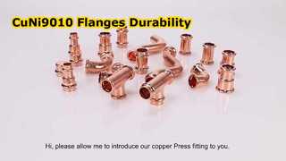 CuNi9010 الشفاه مزورة لحام RF الصلب