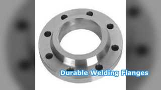 لحام الشفاه الرقبة SS304 SS316 PN6